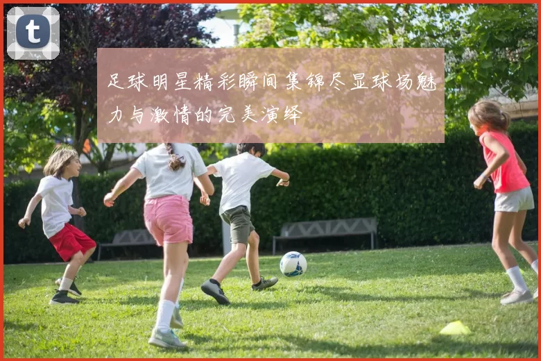 足球明星精彩瞬间集锦尽显球场魅力与激情的完美演绎