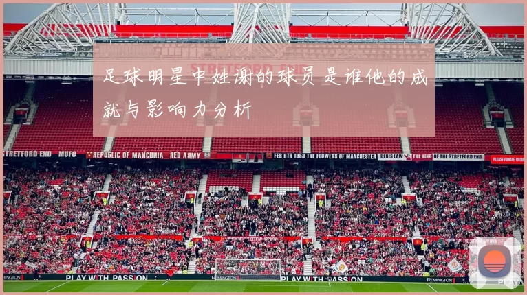 足球明星中姓谢的球员是谁他的成就与影响力分析