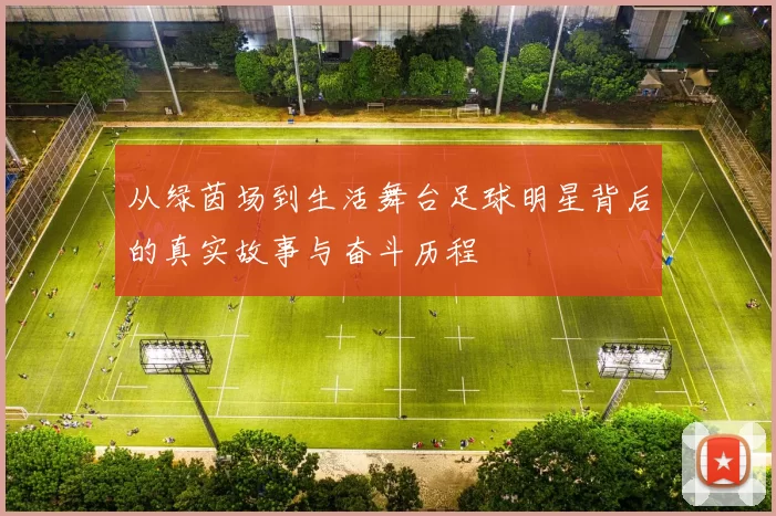 从绿茵场到生活舞台足球明星背后的真实故事与奋斗历程