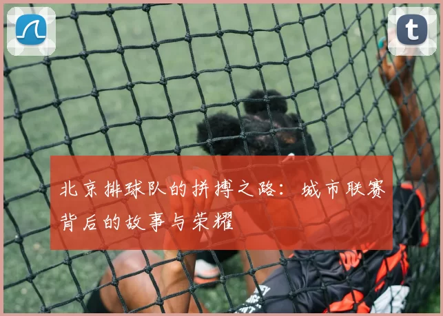 北京排球队的拼搏之路：城市联赛背后的故事与荣耀