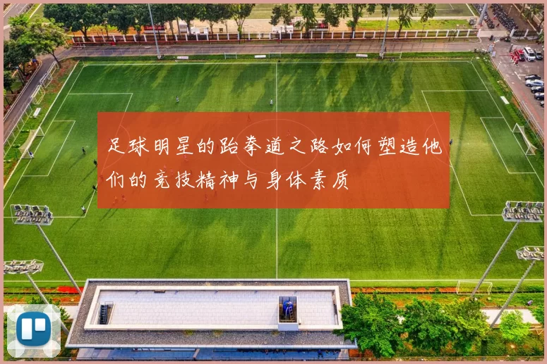 足球明星的跆拳道之路如何塑造他们的竞技精神与身体素质