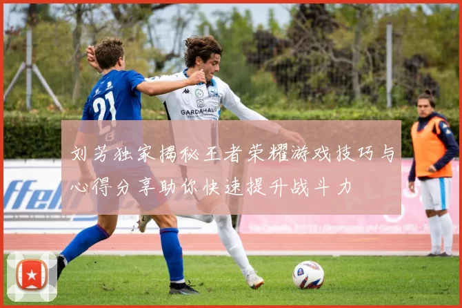 刘芳独家揭秘王者荣耀游戏技巧与心得分享助你快速提升战斗力