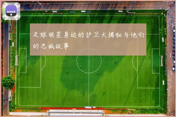 足球明星身边的护卫犬揭秘与他们的忠诚故事