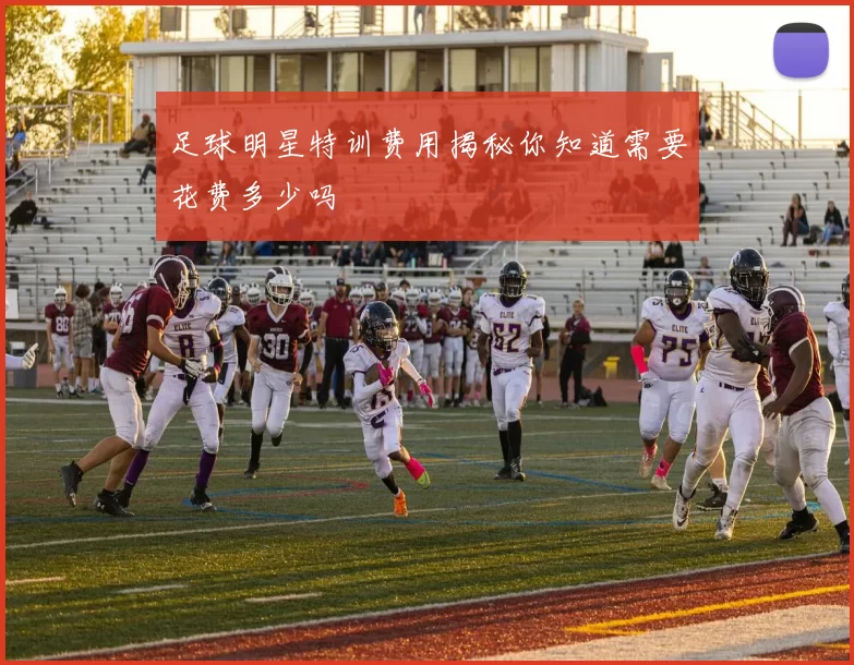 足球明星特训费用揭秘你知道需要花费多少吗