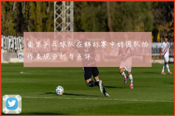 南京乒乓球队在锦标赛中的团队协作表现分析与点评