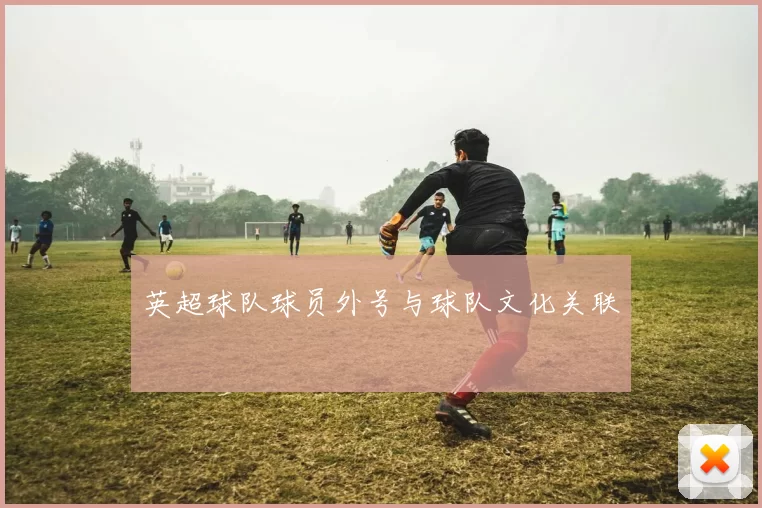 英超球队球员外号与球队文化关联