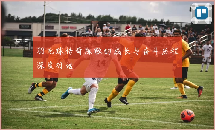 羽毛球传奇陈敏的成长与奋斗历程深度对话