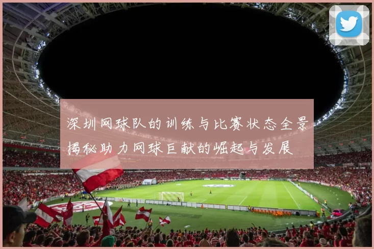 深圳网球队的训练与比赛状态全景揭秘助力网球巨献的崛起与发展