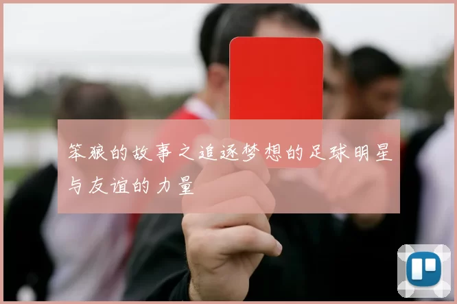 笨狼的故事之追逐梦想的足球明星与友谊的力量