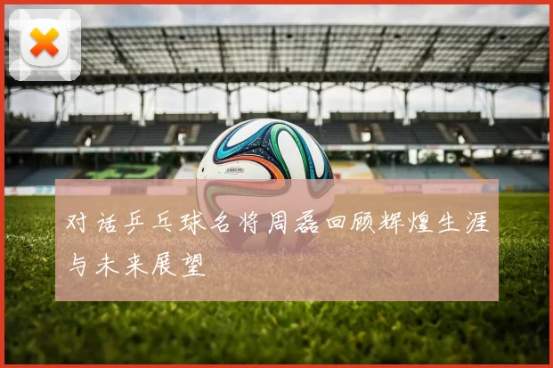 对话乒乓球名将周磊回顾辉煌生涯与未来展望