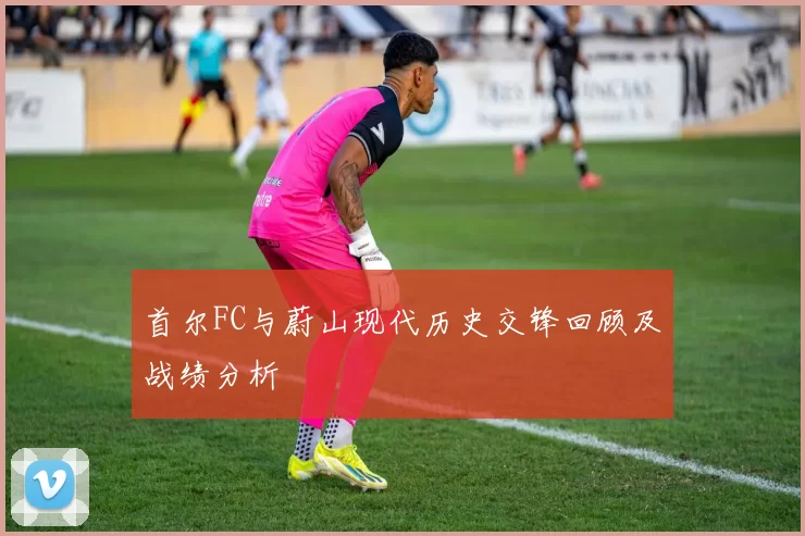 首尔FC与蔚山现代历史交锋回顾及战绩分析