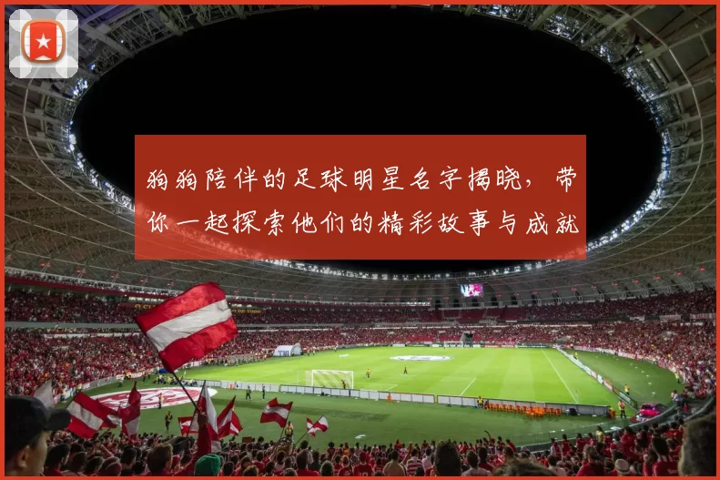 狗狗陪伴的足球明星名字揭晓，带你一起探索他们的精彩故事与成就