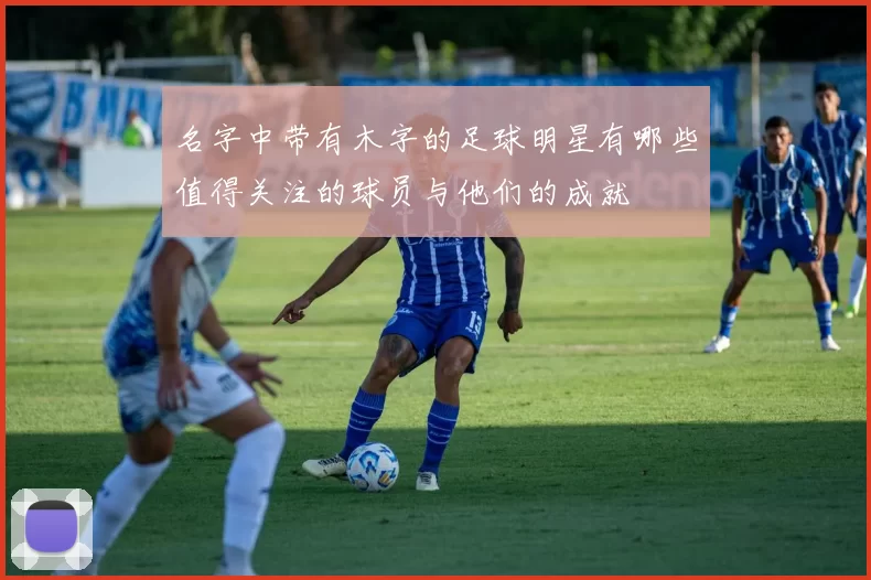 名字中带有木字的足球明星有哪些值得关注的球员与他们的成就