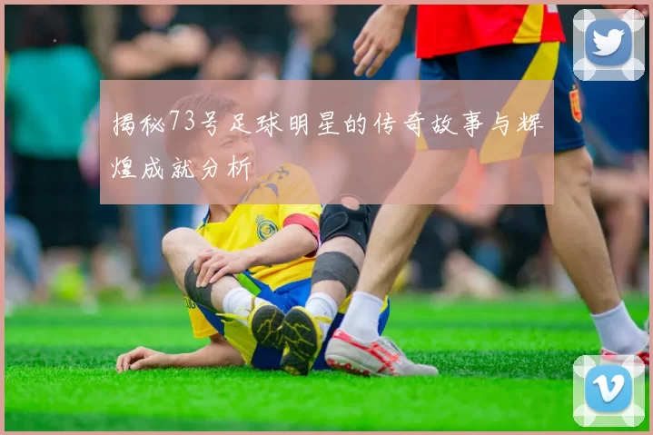 揭秘73号足球明星的传奇故事与辉煌成就分析