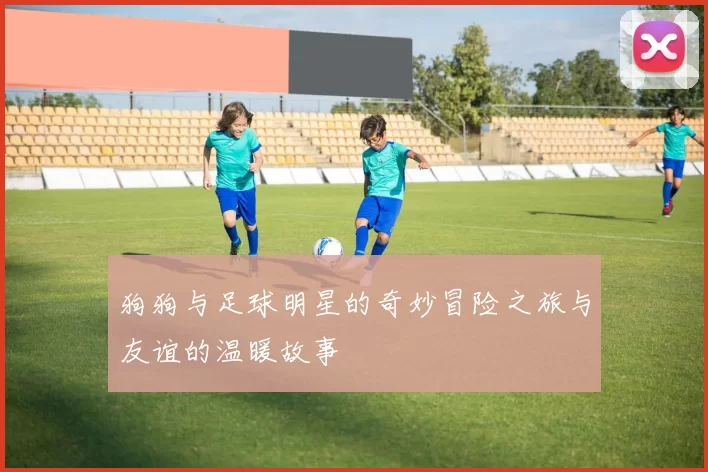 狗狗与足球明星的奇妙冒险之旅与友谊的温暖故事