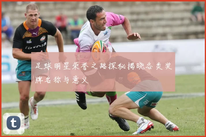 足球明星荣誉之路探秘揭晓各类奖牌名称与意义