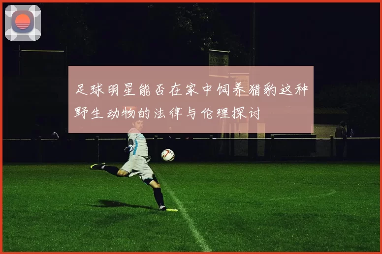 足球明星能否在家中饲养猎豹这种野生动物的法律与伦理探讨
